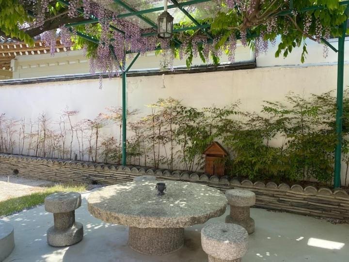 Adam Guesthouse 慶州市 エクステリア 写真